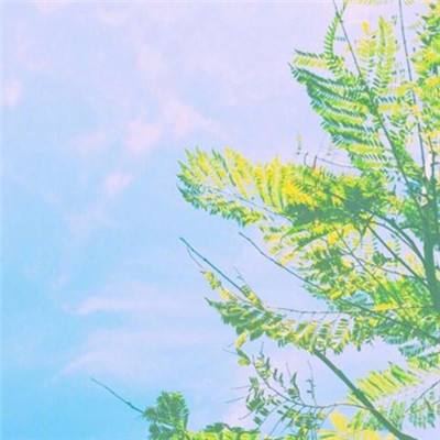 超级精灵手表果盘版下载